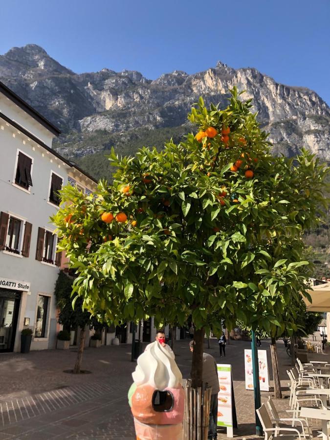 North Apartment, Steps From The Garda Apartment *